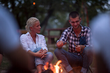 Image showing young friends relaxing around campfire