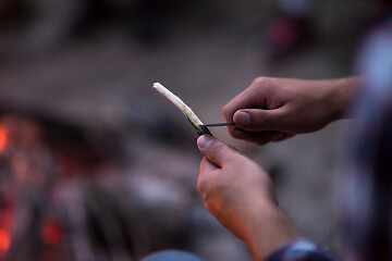 Image showing young friends relaxing around campfire