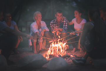 Image showing young friends relaxing around campfire