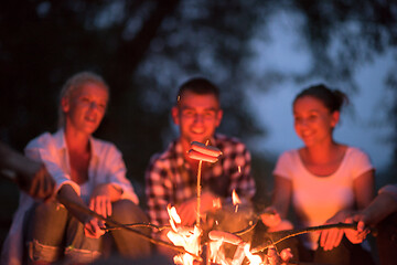 Image showing young friends relaxing around campfire