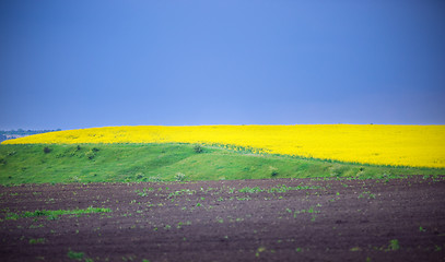 Image showing abstract landscape