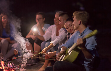 Image showing young friends relaxing around campfire