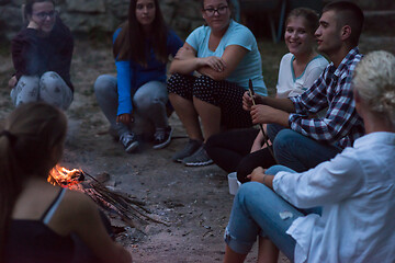 Image showing young friends relaxing around campfire