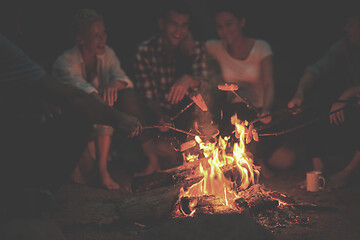 Image showing young friends relaxing around campfire