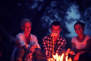 Image showing young friends relaxing around campfire