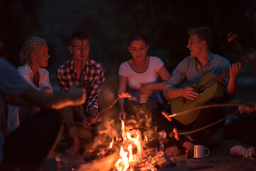 Image showing young friends relaxing around campfire