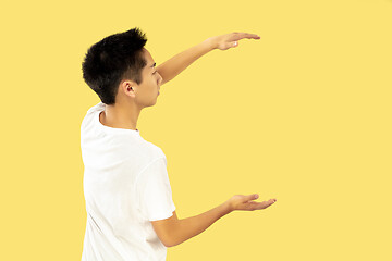 Image showing Korean young man\'s half-length portrait on yellow background