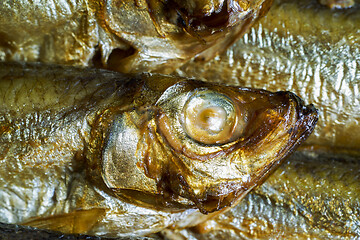 Image showing smoked sprats detail