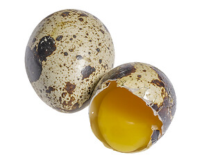 Image showing two quail eggs