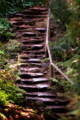 Image showing Old Wet Stone Steps