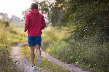 Image showing man jogging along a country road