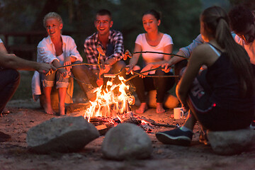 Image showing young friends relaxing around campfire