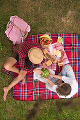 Image showing top view of couple enjoying picnic time