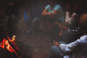 Image showing young friends relaxing around campfire