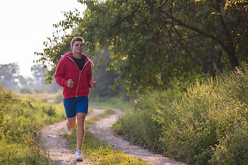 Image showing man jogging along a country road