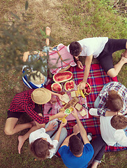 Image showing top view of group friends enjoying picnic time