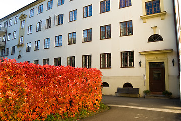 Image showing Red wall in the backyard