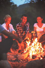 Image showing young friends relaxing around campfire