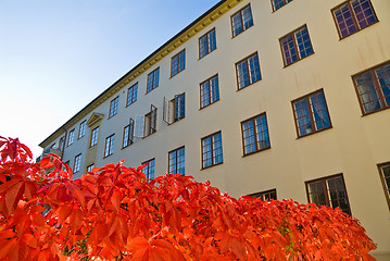 Image showing Red wall in the backyard 2