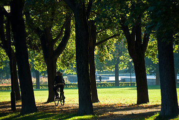 Image showing Bicycle ride in the park