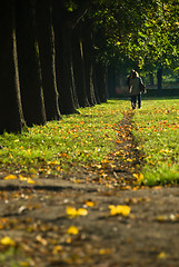 Image showing Walking the path