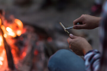 Image showing young friends relaxing around campfire