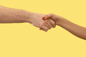 Image showing Closeup shot of human holding hands isolated on yellow studio background.