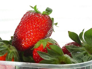 Image showing strawberry