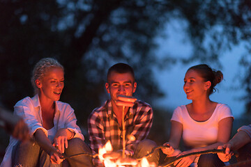 Image showing young friends relaxing around campfire