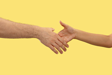 Image showing Closeup shot of human holding hands isolated on yellow studio background.