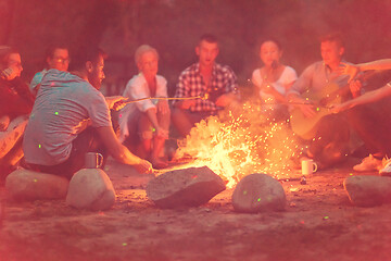 Image showing young friends relaxing around campfire