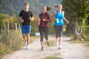 Image showing young people jogging on country road