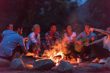 Image showing young friends relaxing around campfire