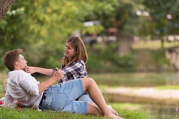 Image showing Couple in love enjoying picnic time