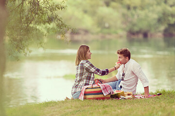 Image showing Couple in love enjoying picnic time