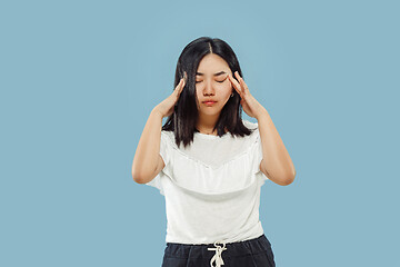 Image showing Korean young woman\'s half-length portrait on blue background