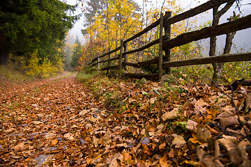 Image showing autumnal forest on a foggy morning