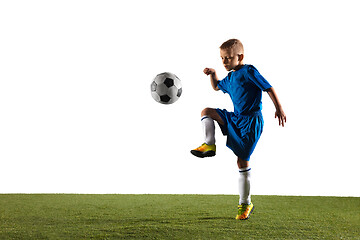 Image showing Young boy as a soccer or football player on white studio background