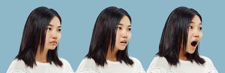 Image showing Korean young woman\'s half-length portrait on blue background