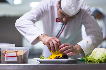 Image showing chef serving vegetable salad