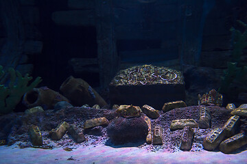 Image showing empty aquarium decor