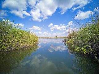 Image showing Water canal in the Danube Delta