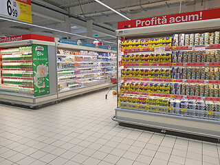 Image showing Milk products and cheese department