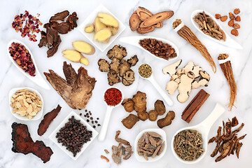 Image showing Natural Holistic Chinese Herbal Medicine  