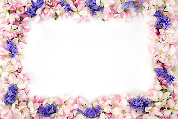 Image showing Bluebell and Apple Blossom Flower Border 