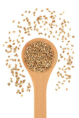 Image showing Organic Mulika Wheat Berries