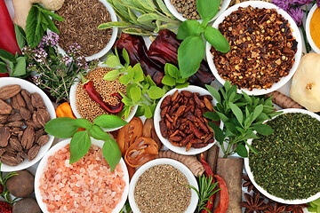 Image showing Dried and Fresh Culinary Herbs and Spice 