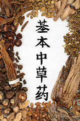 Image showing Chinese Fundamental Herbs