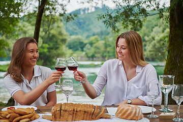 Image showing girlfriends having picnic french dinner party outdoor