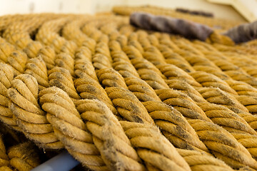 Image showing Twisted rope texture